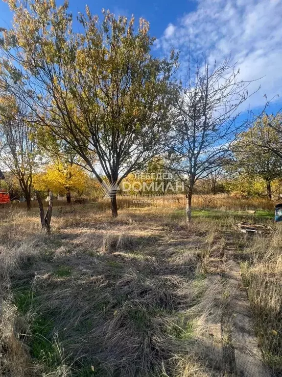 Участок в Ростовская область, Новочеркасск Казачок садовое ... - Фото 2