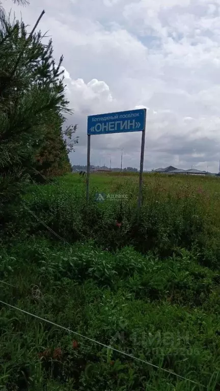 Участок в Тюменская область, Тюменский район, Онегин кп ул. ... - Фото 0