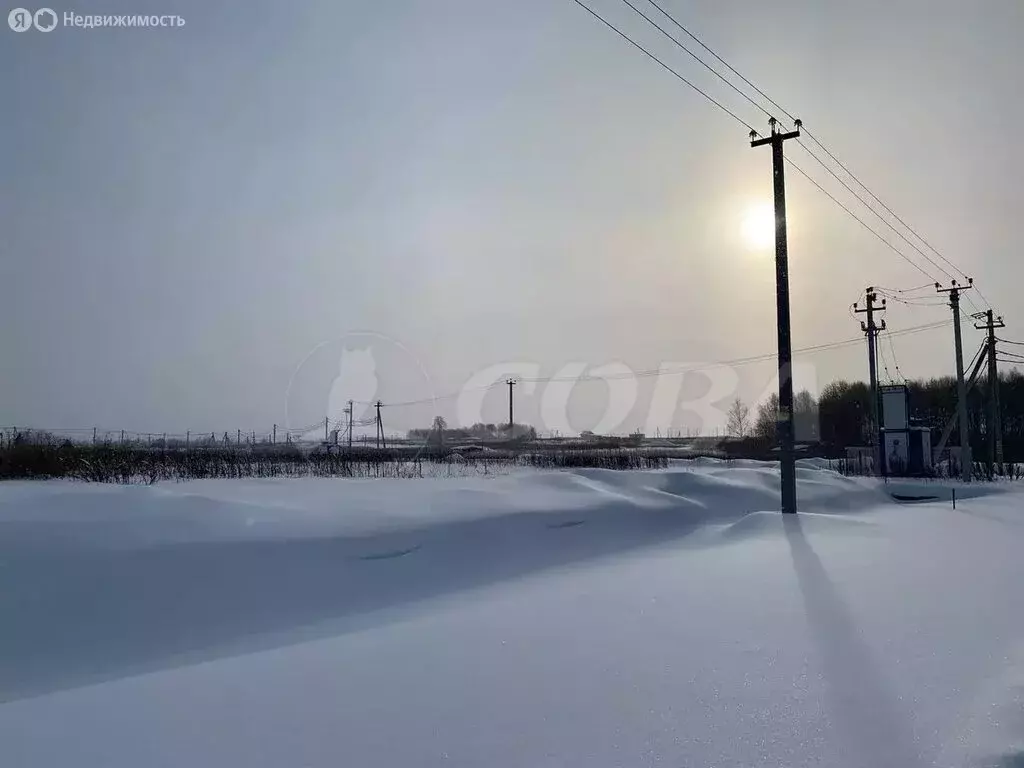 Участок в Тюменский муниципальный округ, деревня Большие Акияры (8.8 ... - Фото 1