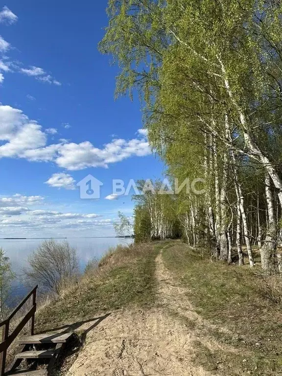 Участок в Нижегородская область, Сокольский городской округ, д. ... - Фото 0