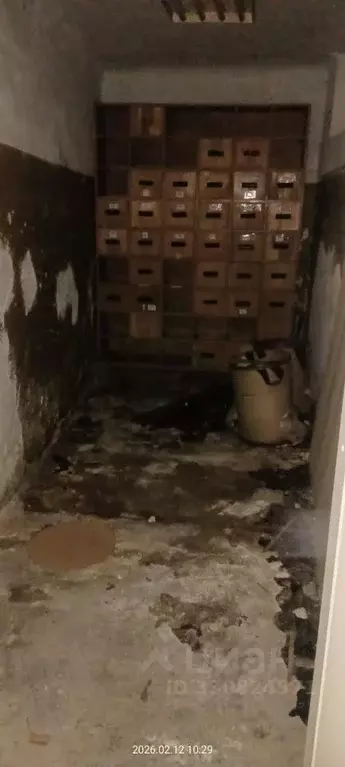Помещение свободного назначения в Свердловская область, Екатеринбург ... - Фото 1