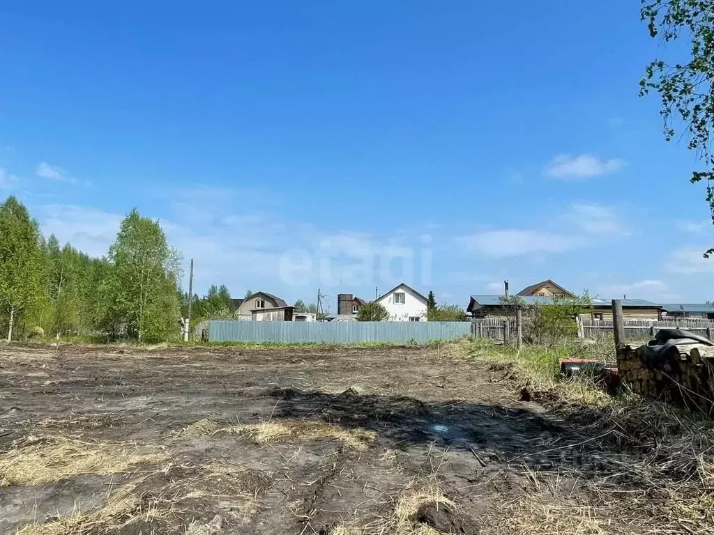 Участок в Тюменская область, Тюмень Садовое товарищество Липовый ... - Фото 1