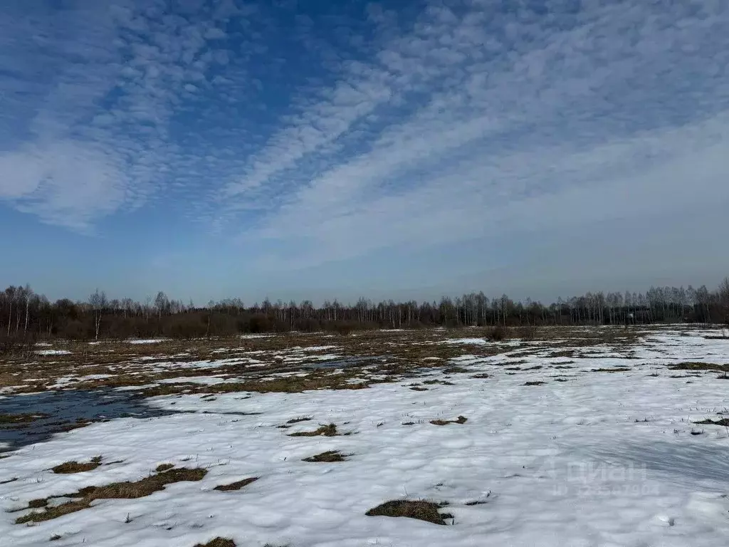 Участок в Московская область, Можайский муниципальный округ, д. ... - Фото 2