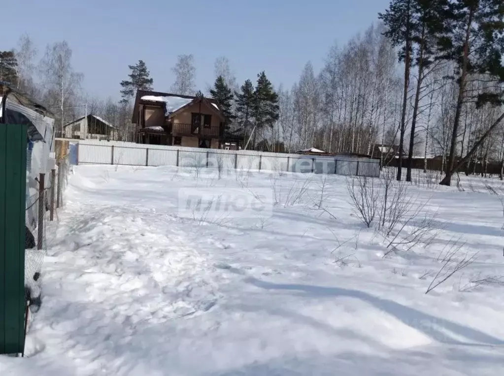 Участок в Московская область, Раменский муниципальный округ, Фенино ... - Фото 2