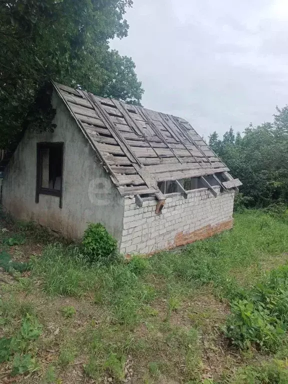 Участок в Амурская область, Благовещенск Маячок СТ,  (6.6 сот.) - Фото 1