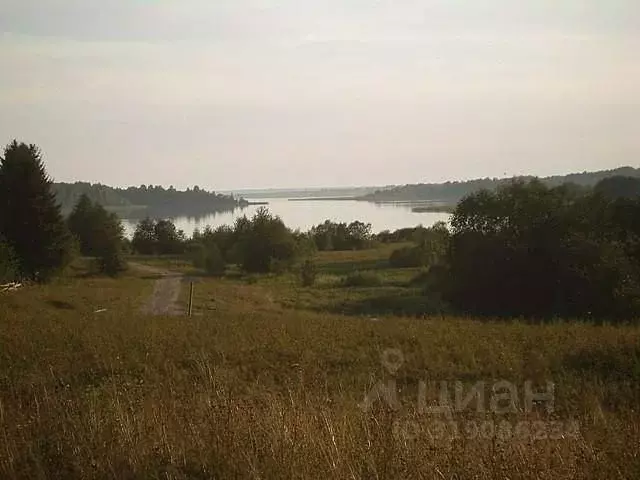 Участок в Новгородская область, Пестовский муниципальный округ, д. ... - Фото 0