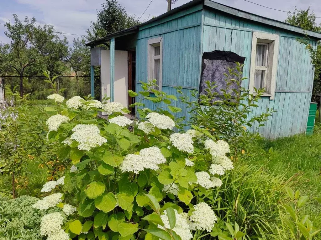 Участок в Новгородская область, Новгородский район, Ермолинское с/пос, ... - Фото 1