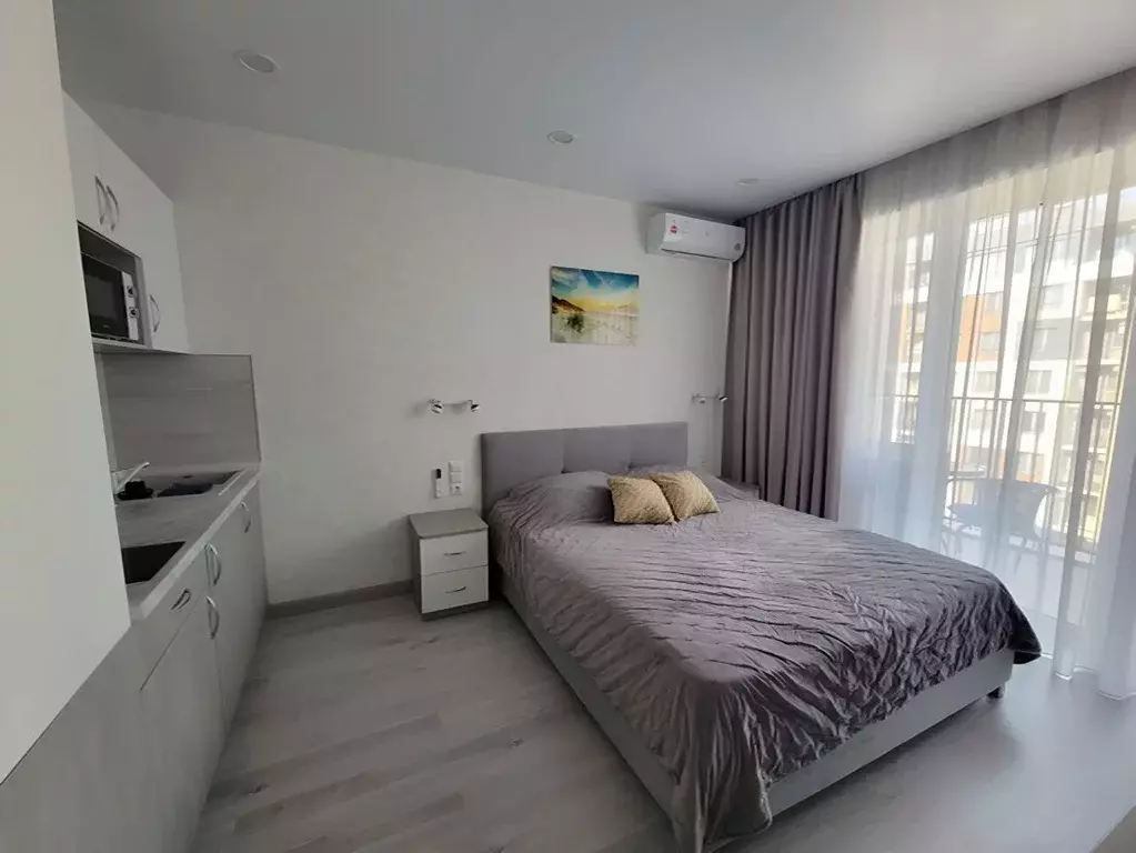 1-к кв. Краснодарский край, Сочи городской округ, Дагомыс пгт ул. ... - Фото 2