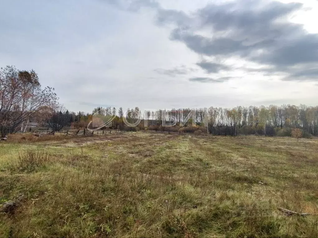 Участок в Тюменская область, Нижнетавдинский муниципальный округ, пос. ... - Фото 2