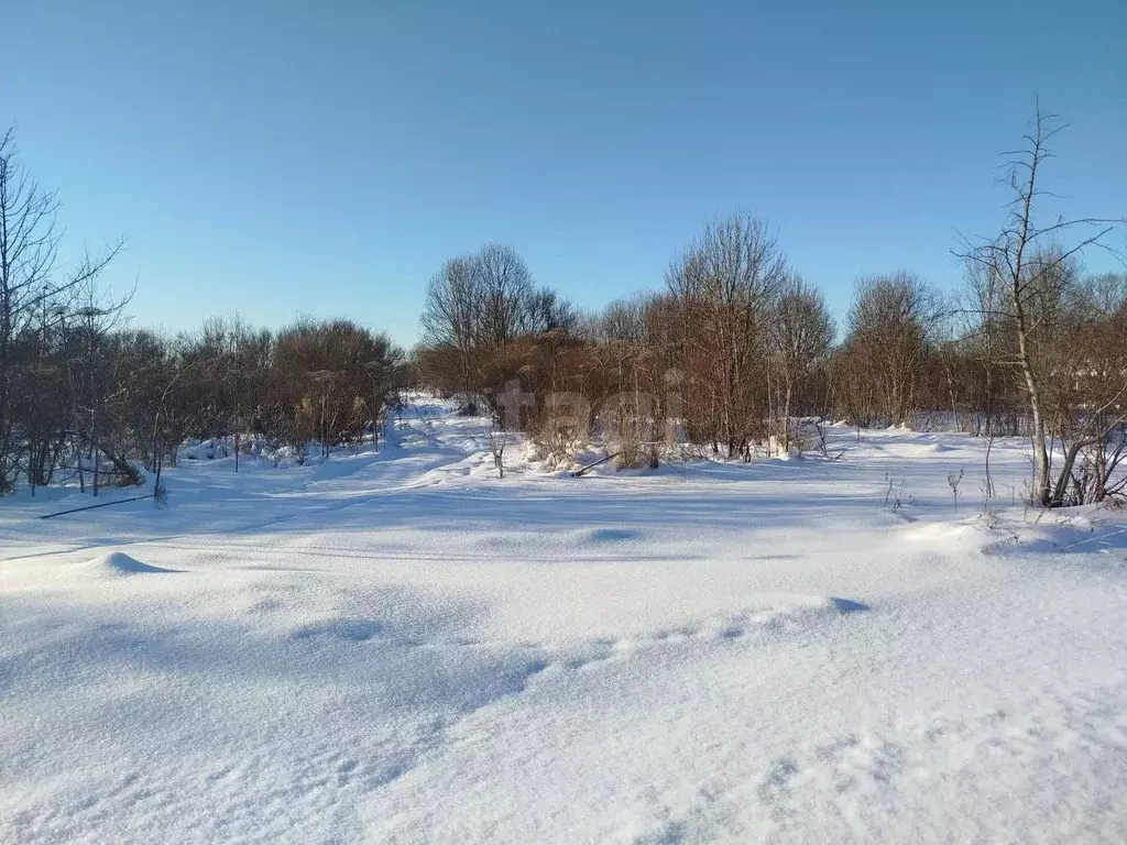 Участок в Псковская область, Остров ул. Энтузиастов (1440.0 сот.) - Фото 2