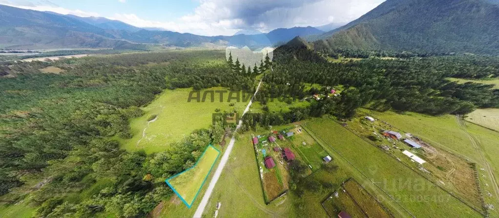 Участок в Алтай, Усть-Коксинский район, пос. Замульта Новая ул. (10.59 ... - Фото 1