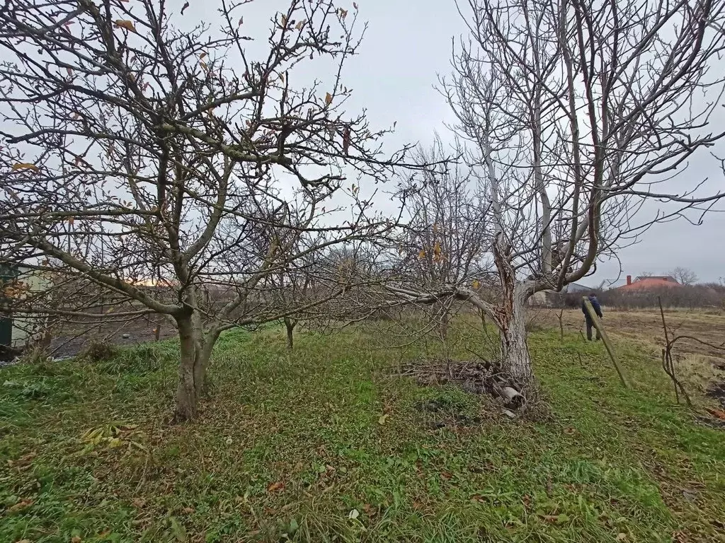 Участок в Краснодарский край, Анапа муниципальный округ, Гостагаевская ... - Фото 2