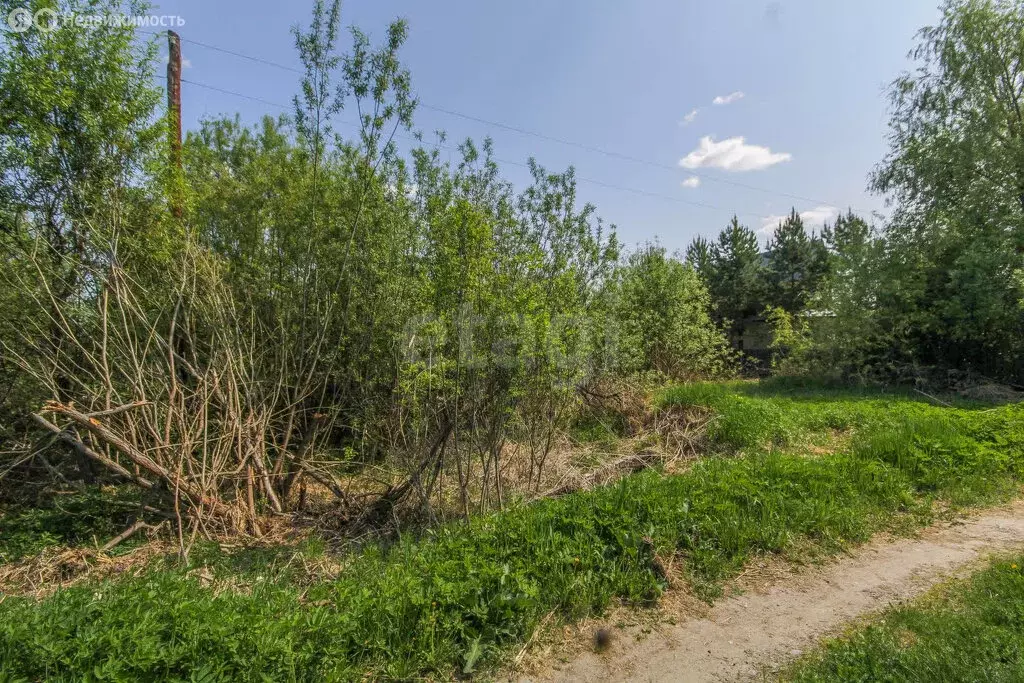 Участок в Нижнетавдинский район, СНТ Ромашка (10.52 м) - Фото 0