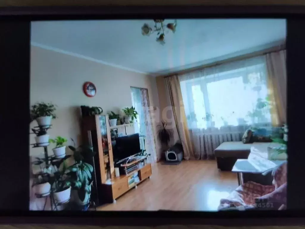 1-к кв. Коми, Сыктывкар ул. Чернова, 14 (33.1 м) - Фото 1