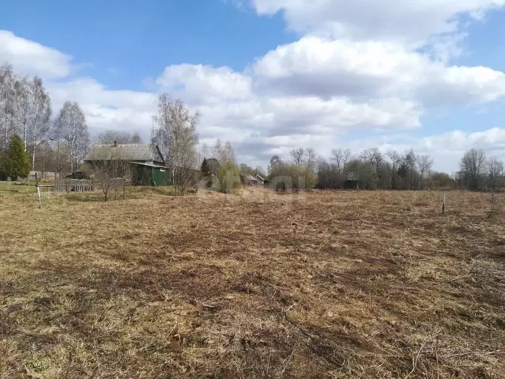 Участок в Ленинградская область, Лодейнопольский район, Алеховщинское ... - Фото 1