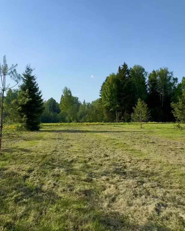 Участок в Московская область, Клин городской округ, Ели Эстейт ... - Фото 1