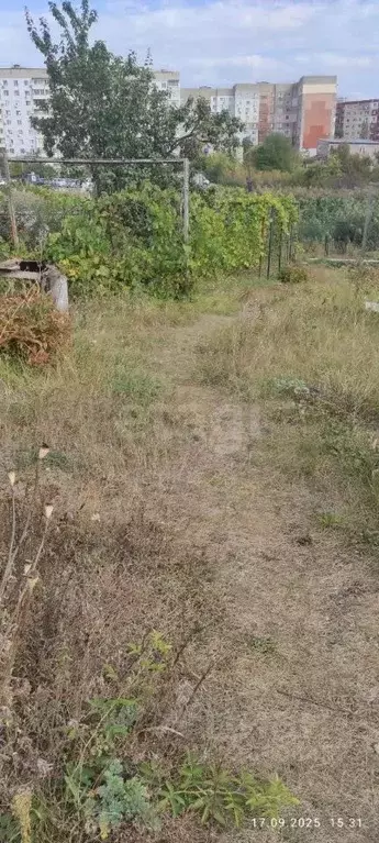 Участок в Саратовская область, Саратов Маслозавод-1 СНТ, 27 (6.0 сот.) - Фото 1