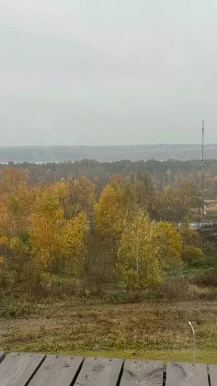 1-к кв. Московская область, Дмитровский муниципальный округ, с. ... - Фото 1