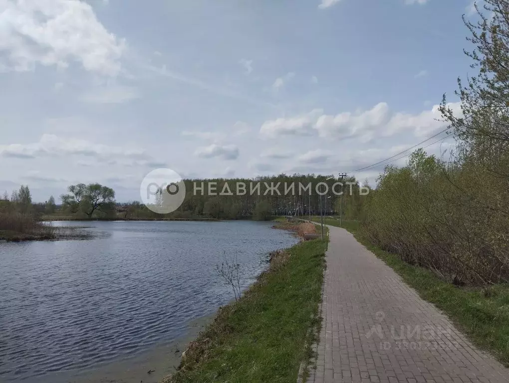 Участок в Рязанская область, Рыбновский муниципальный округ, Колхозник ... - Фото 1