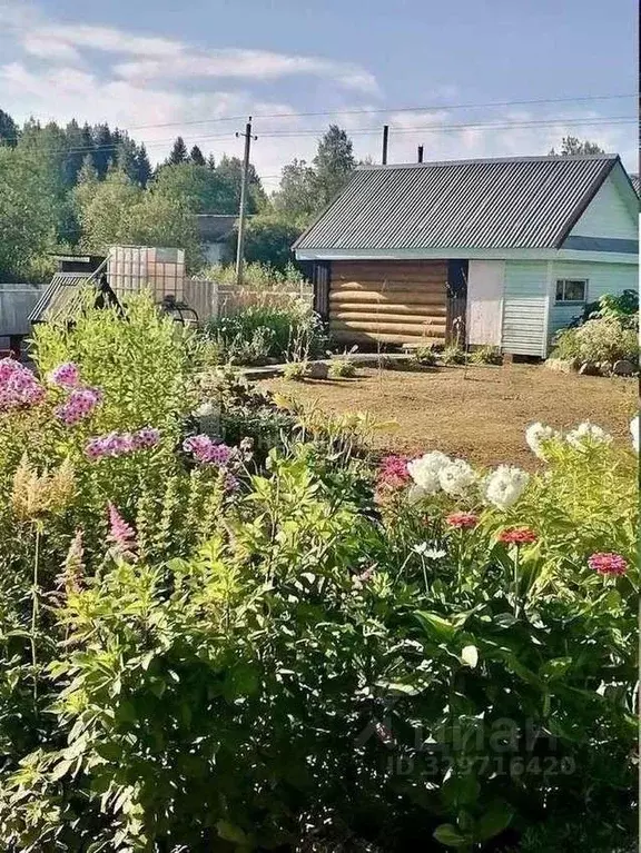 Дом в Новгородская область, Демянский муниципальный округ, д. Новый ... - Фото 1