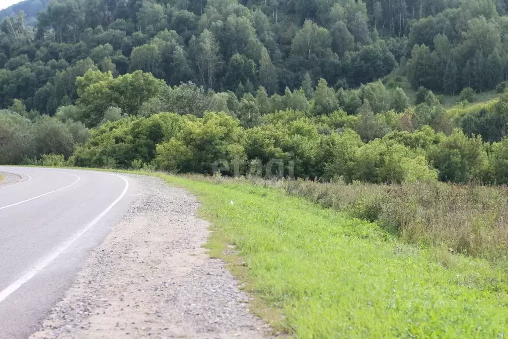 Участок в Алтайский край, Алтайский район, Урочище Белокуриха тер. 1 ... - Фото 1