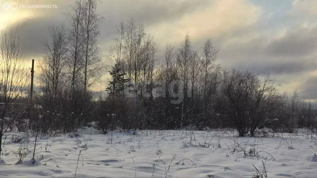 Участок в Глажевское сельское поселение, СНТ Волжа, 2-я улица (4.96 м) - Фото 2