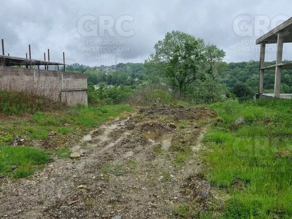 Участок в Краснодарский край, Сочи городской округ, с. Верхневеселое, ... - Фото 1