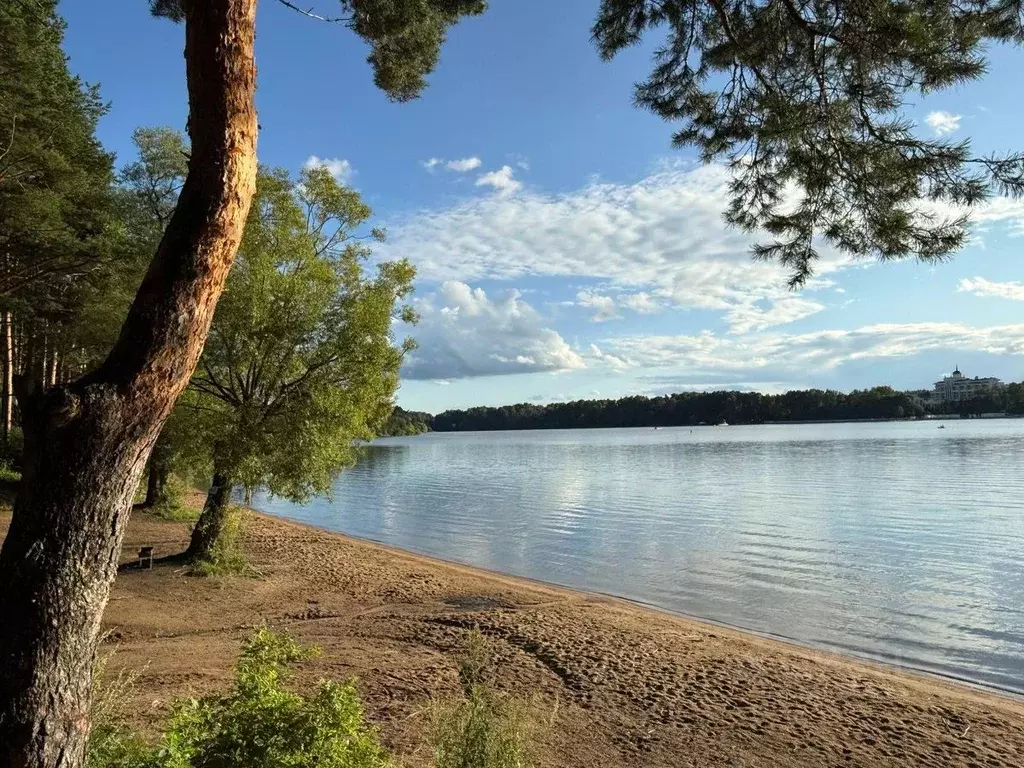 Участок в Московская область, Истра муниципальный округ, д. Алехново  ... - Фото 1