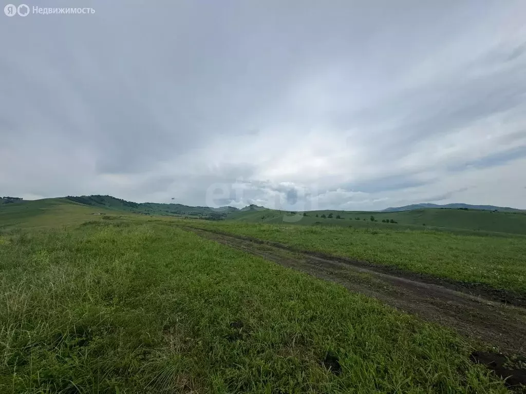 Участок в Алтайский район, ДНТ Жемчужина Алтая (9.6 м) - Фото 0