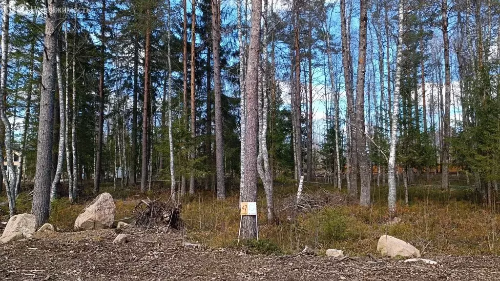 Участок в деревня Новожилово, Центральная улица (1164 м) - Фото 1