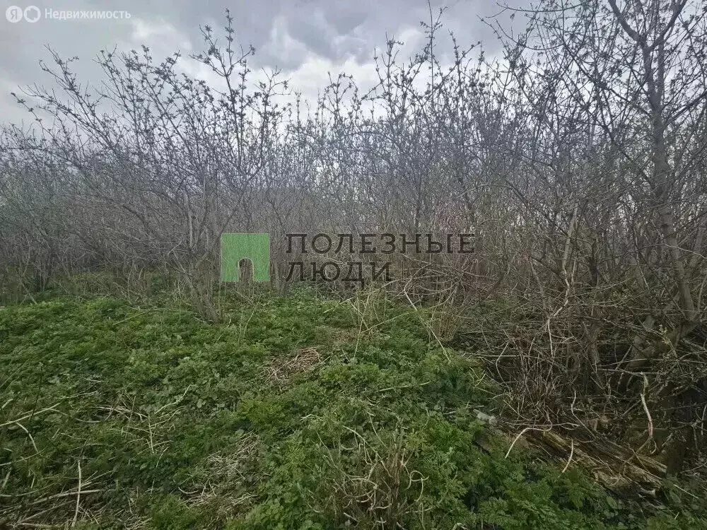 Участок в посёлок городского типа Кромы, Речная улица (24.2 м) - Фото 1