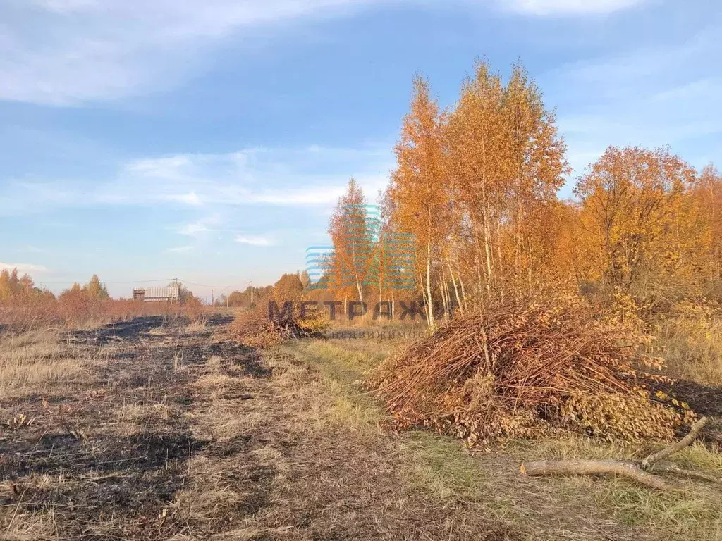 Участок в Калужская область, Бабынинский муниципальный округ, Утешево ... - Фото 1