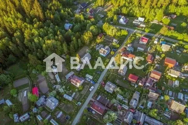 Участок в Калининградская область, Гурьевский муниципальный округ, ... - Фото 2