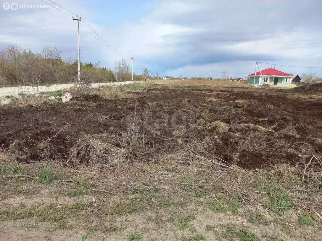 Участок в Тюмень, садовое товарищество Поле Чудес-2, Ягодная улица (9 ... - Фото 1