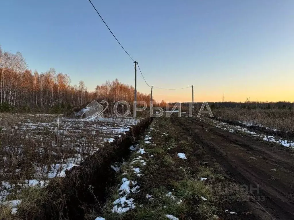 Участок в Тюменская область, Тюмень Большое Царево-2 СНТ, ул. Чистая ... - Фото 1