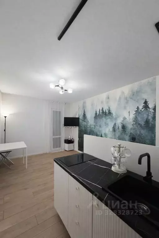 Студия Санкт-Петербург наб. Реки Каменки, 19к3 (19.0 м) - Фото 2