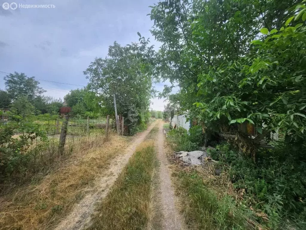 Участок в Перовское сельское поселение, садоводческое товарищество ... - Фото 1