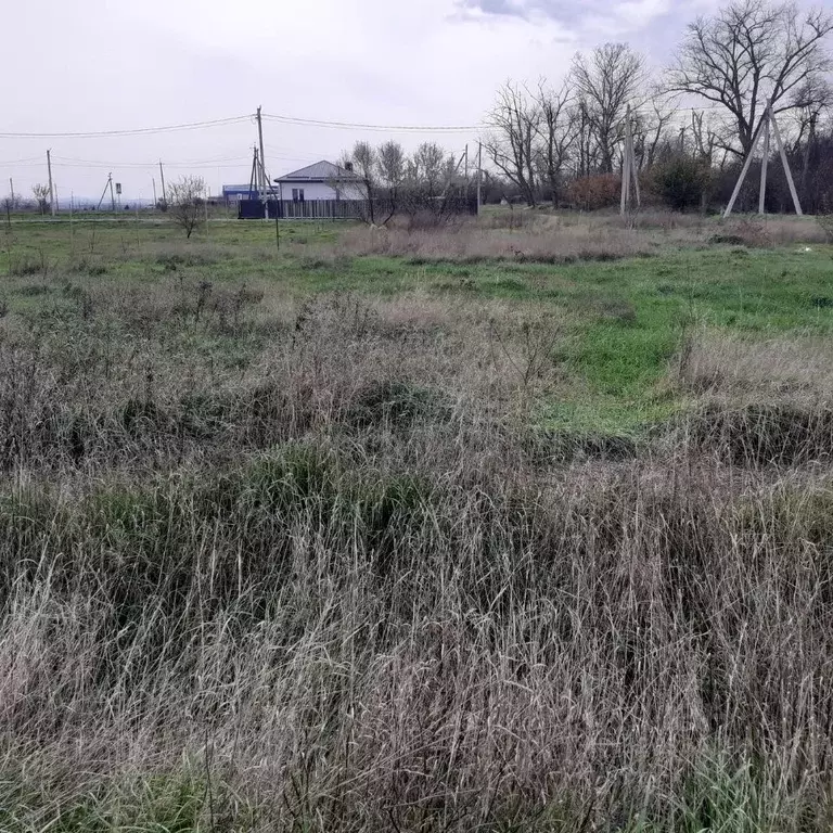 Участок в Краснодарский край, Анапа муниципальный округ, пос. ... - Фото 1