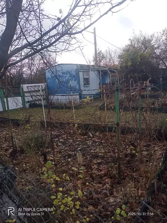 Участок в Белгородская область, Яковлевский муниципальный округ, ... - Фото 0