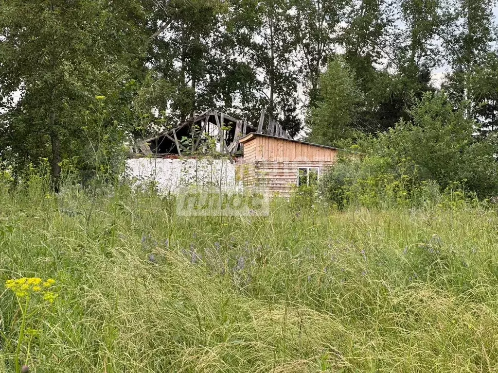 Участок 7,5 сот. (ИЖС) - Фото 1