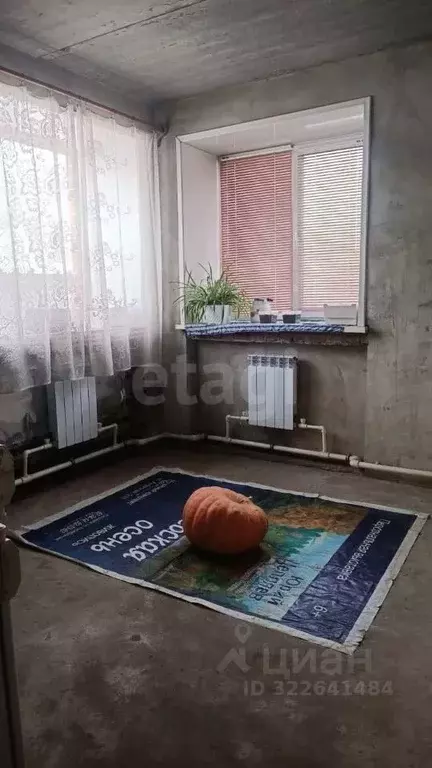 Дом в Амурская область, Благовещенск Красноармейская ул., 232 (60 м) - Фото 1