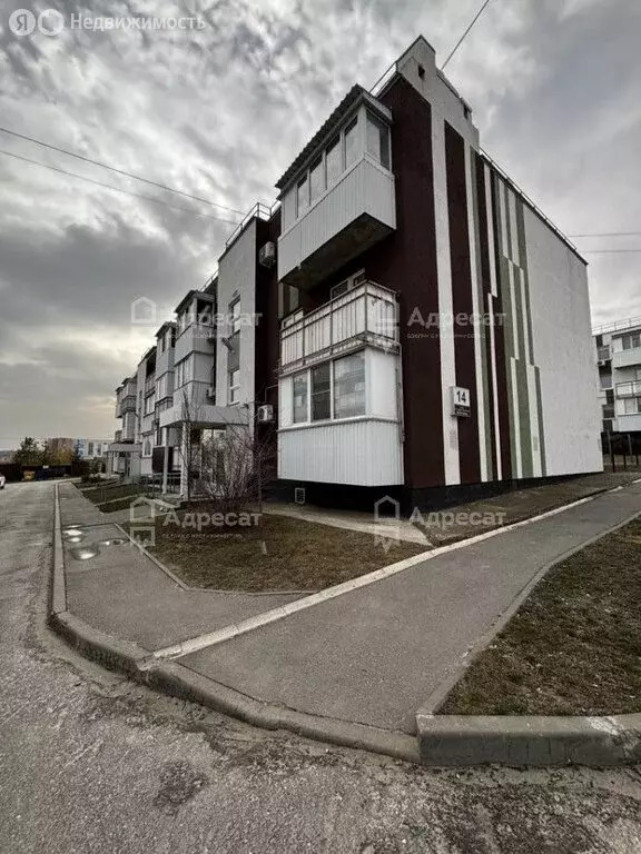 1-комнатная квартира: Волгоград, улица Добрушина, 14 (26.8 м) - Фото 1