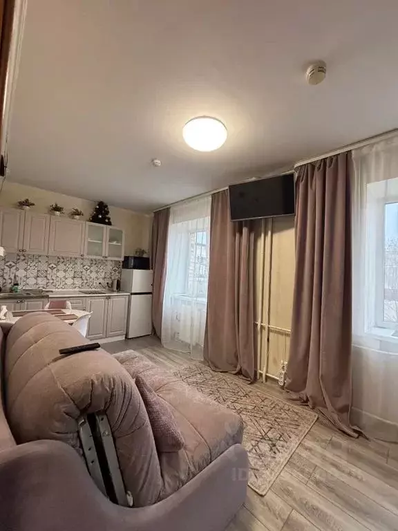 Студия Московская область, Электросталь Трудовая ул., 39 (26.0 м) - Фото 1