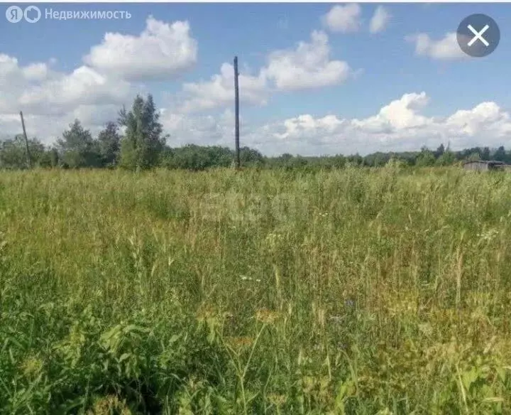 Участок в Тюменская область, Тобольский муниципальный округ, деревня ... - Фото 2
