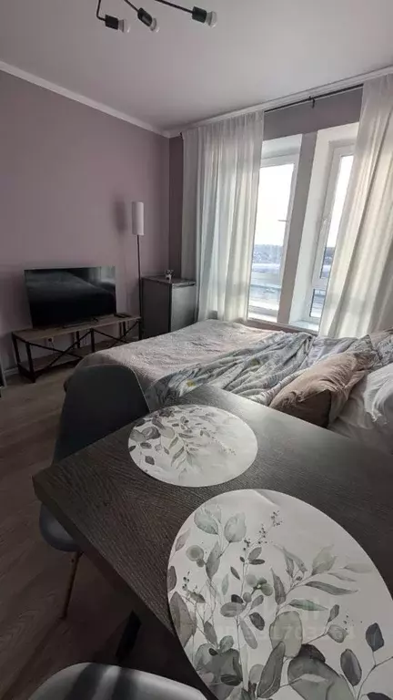 Студия Москва ул. Малое Понизовье, 10 (20.0 м) - Фото 2