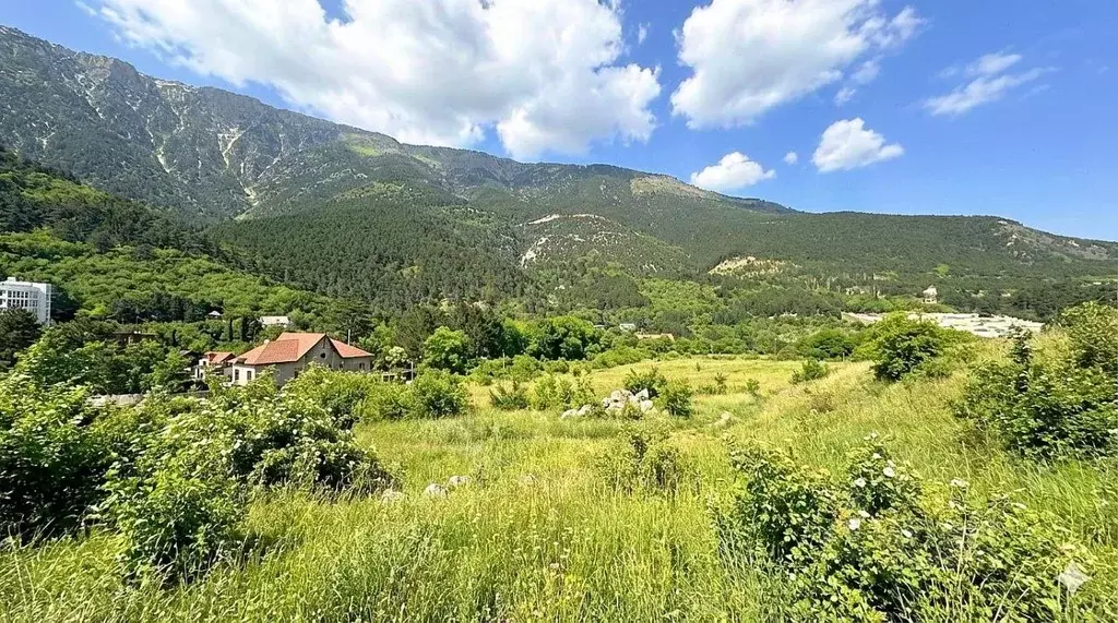 Участок в Крым, Ялта муниципальный округ, Виноградное пгт ул. Красина, ... - Фото 1