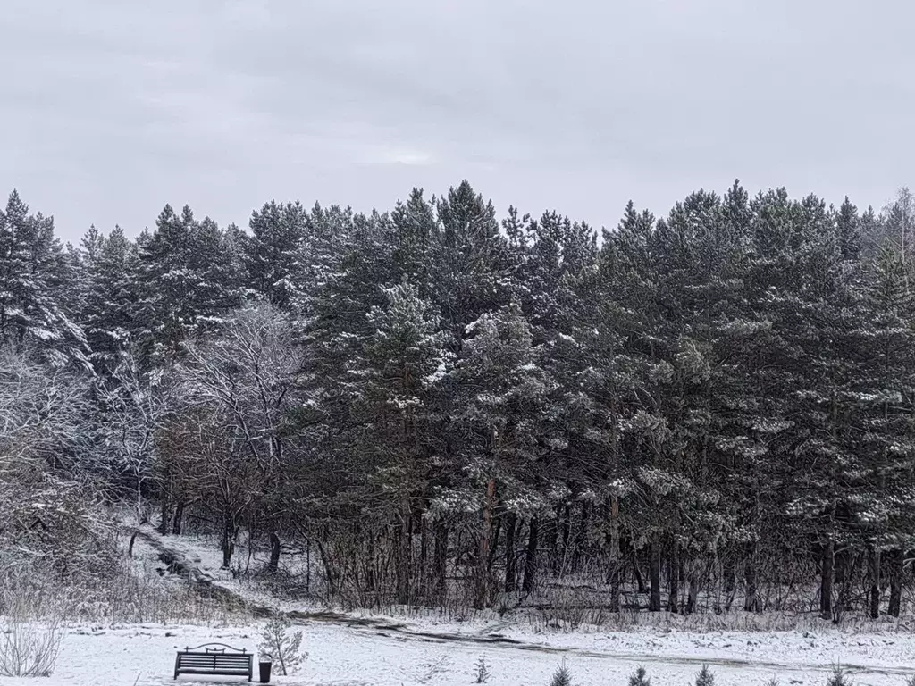 1-к кв. Кемеровская область, Кемерово ул. Серебряный Бор, 13 (40.0 м) - Фото 2