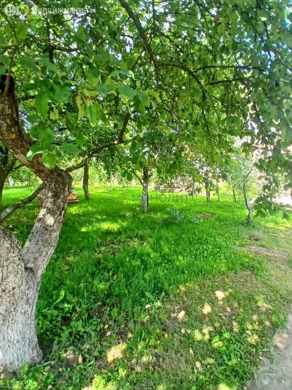 Дом в село Ежово, Солнечная улица, 7 (200 м) - Фото 2