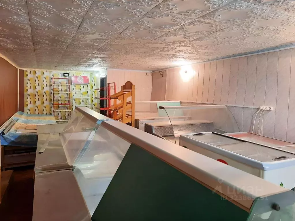 Помещение свободного назначения в Саратовская область, Саратов ул. ... - Фото 1