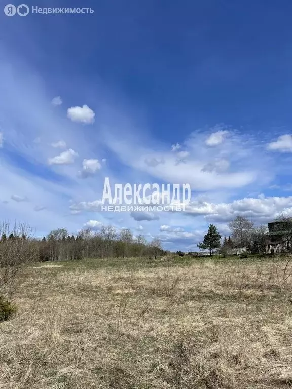 Участок в Оредежское сельское поселение, деревня Борщово (20 м) - Фото 1
